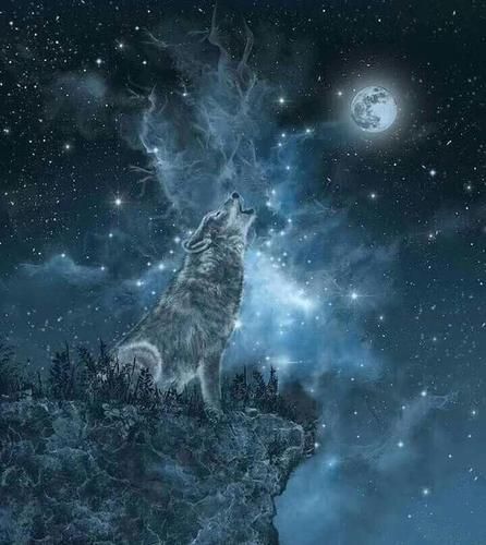 不可错过的巫师流小说,巫师类黑暗流小说