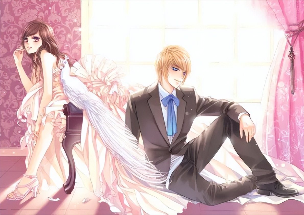 网络平台代理小说犯法吗,网络小说加盟