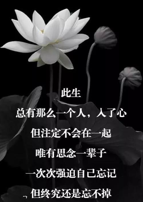 入了心的人怎能说忘就忘歌词,入了心的人怎能说忘就忘抖音