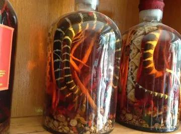 泡过蛇酒的毒蛇还有用吗,泡了22年的8条毒蛇酒会中毒吗