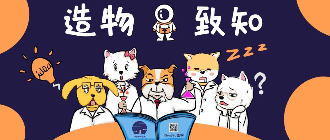 用水做pcr会怎样,用纸杯子能做饮水机