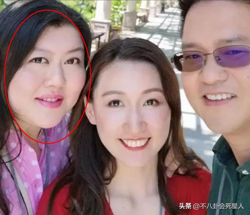 李小龙丁佩向华强陈岚的关系,向华强老婆是丁佩还是陈岚
