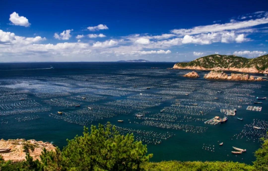 枸杞岛亲子游攻略 (枸杞岛自驾游攻略)