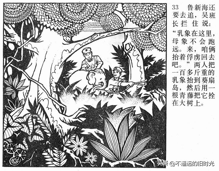 大象搬家,大象搬家河北