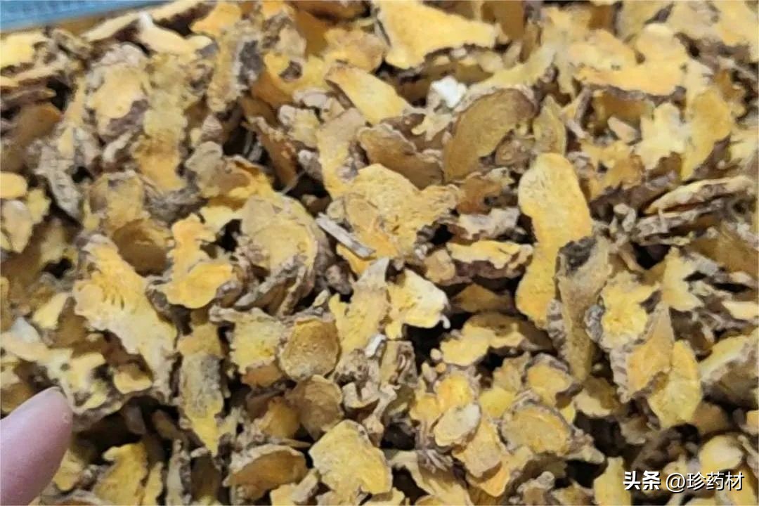 11月22日中药材市场快讯：九香虫、防己、射干、牡丹皮、肉桂等