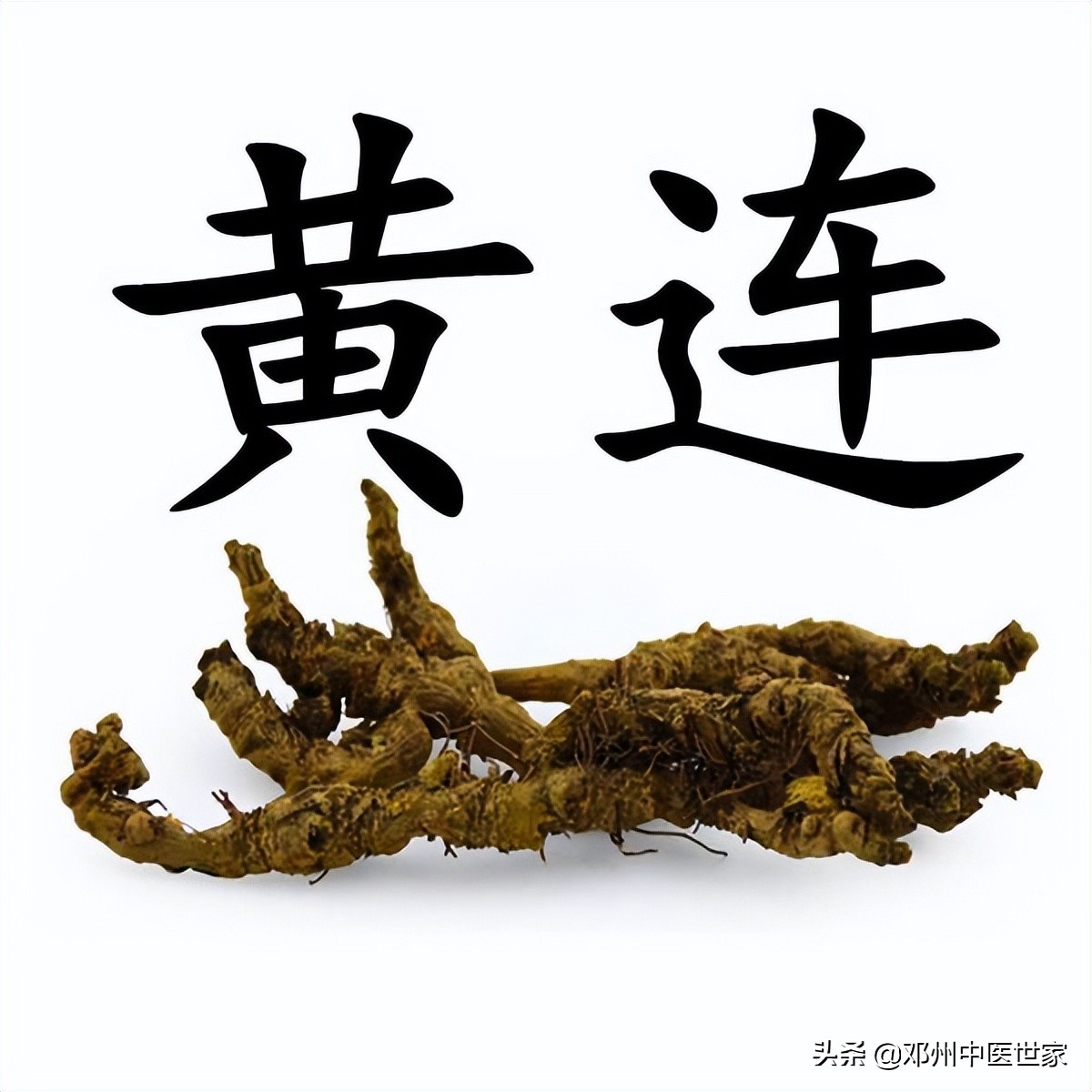 温白汤使用经验,白头功效