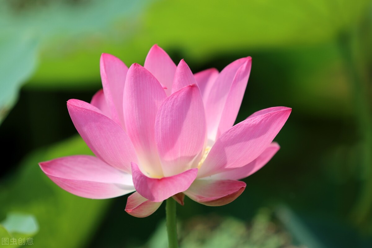 厚德载物积德是福,厚德载物往后会更加积德行善