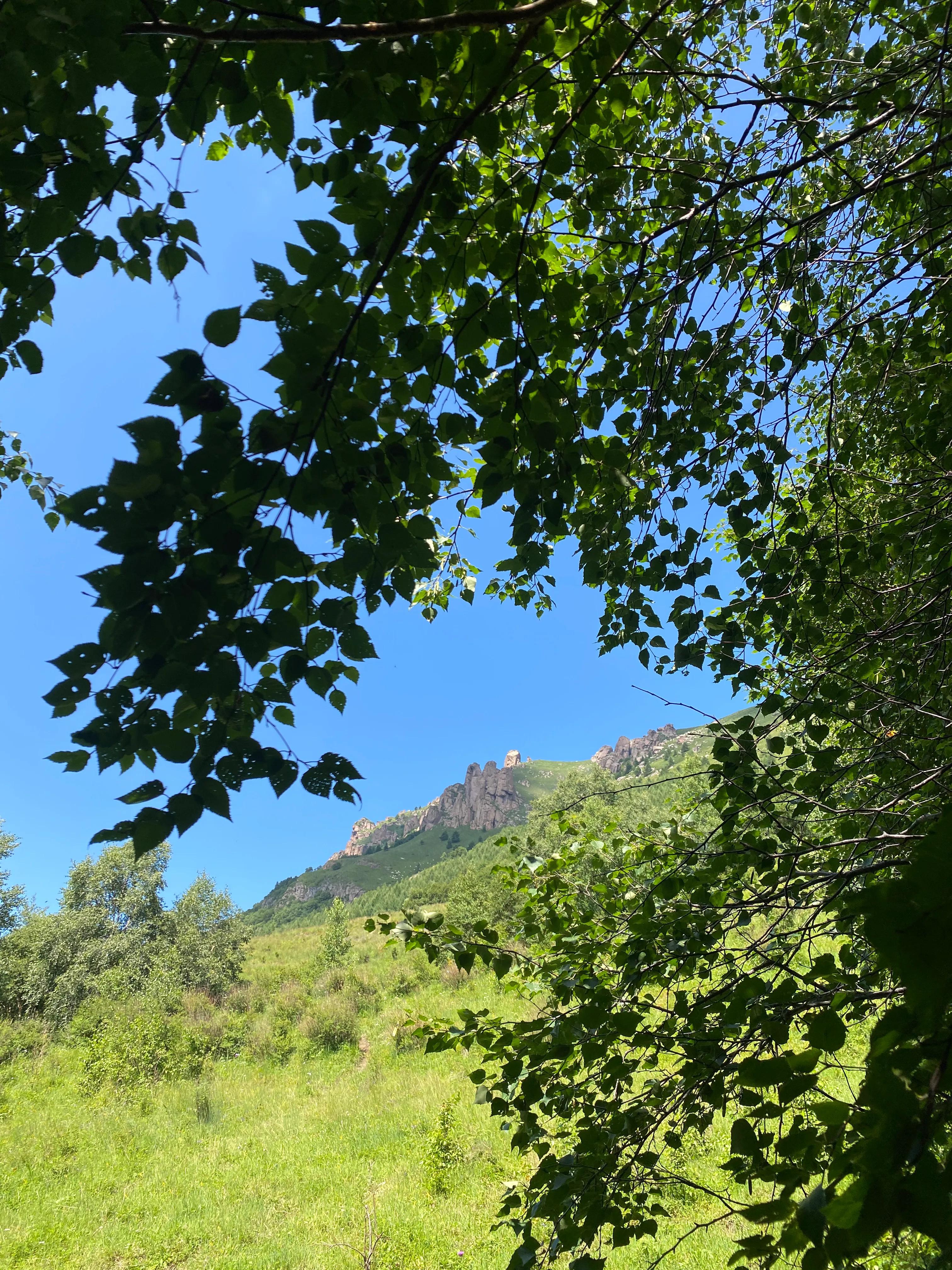 川西高山草甸云海露营,川西高原露营看云海星空