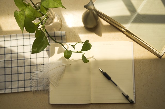 各种文章排版教程,文章排版教程详细