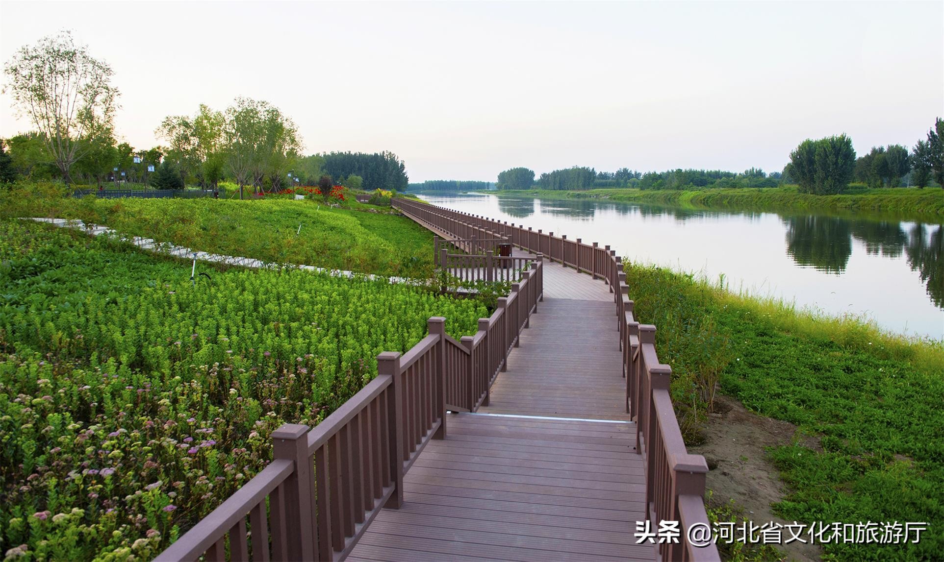廊坊香河最美景点,廊坊香河运河古韵展新颜