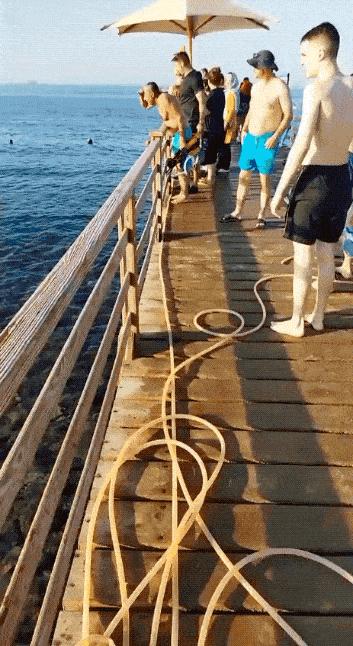 赶海发现有人被鲨鱼活活咬死,海上鲨鱼被咬死