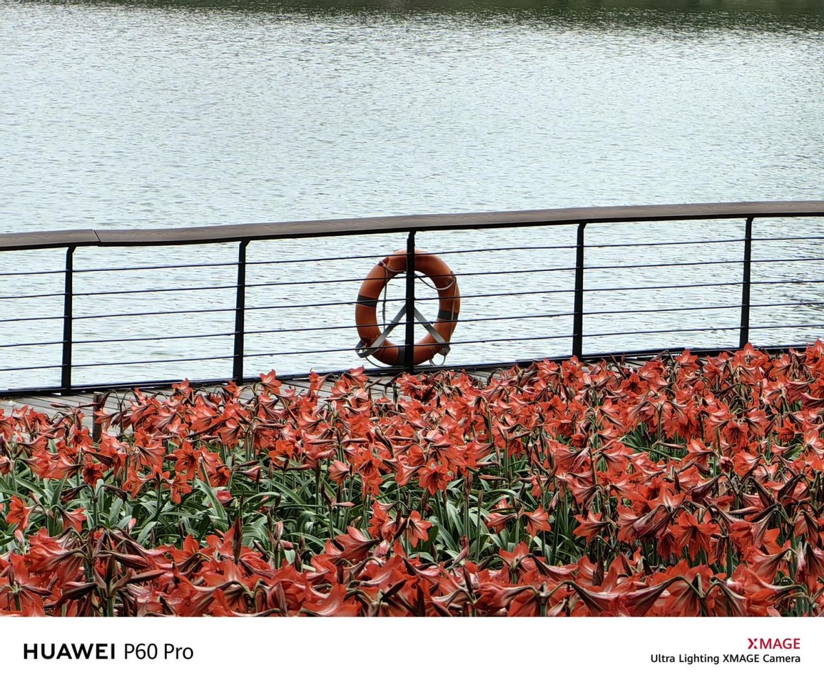 华为p60pro洛可可白都不一样吗,华为p60pro洛可可白拍摄效果