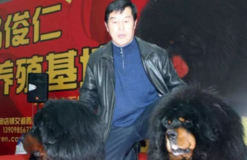 曾经4000万一只,如今白送也没人要!最大市场泡沫吹破了