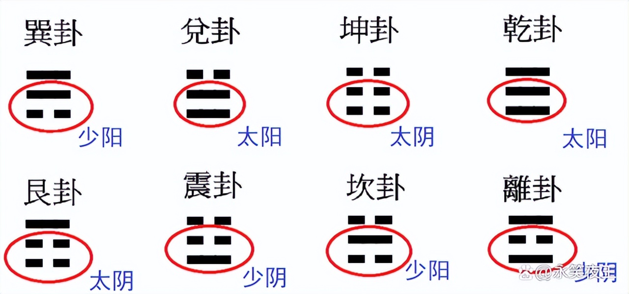 八卦坤卦有哪些卦象,八卦卦象的阴阳特征