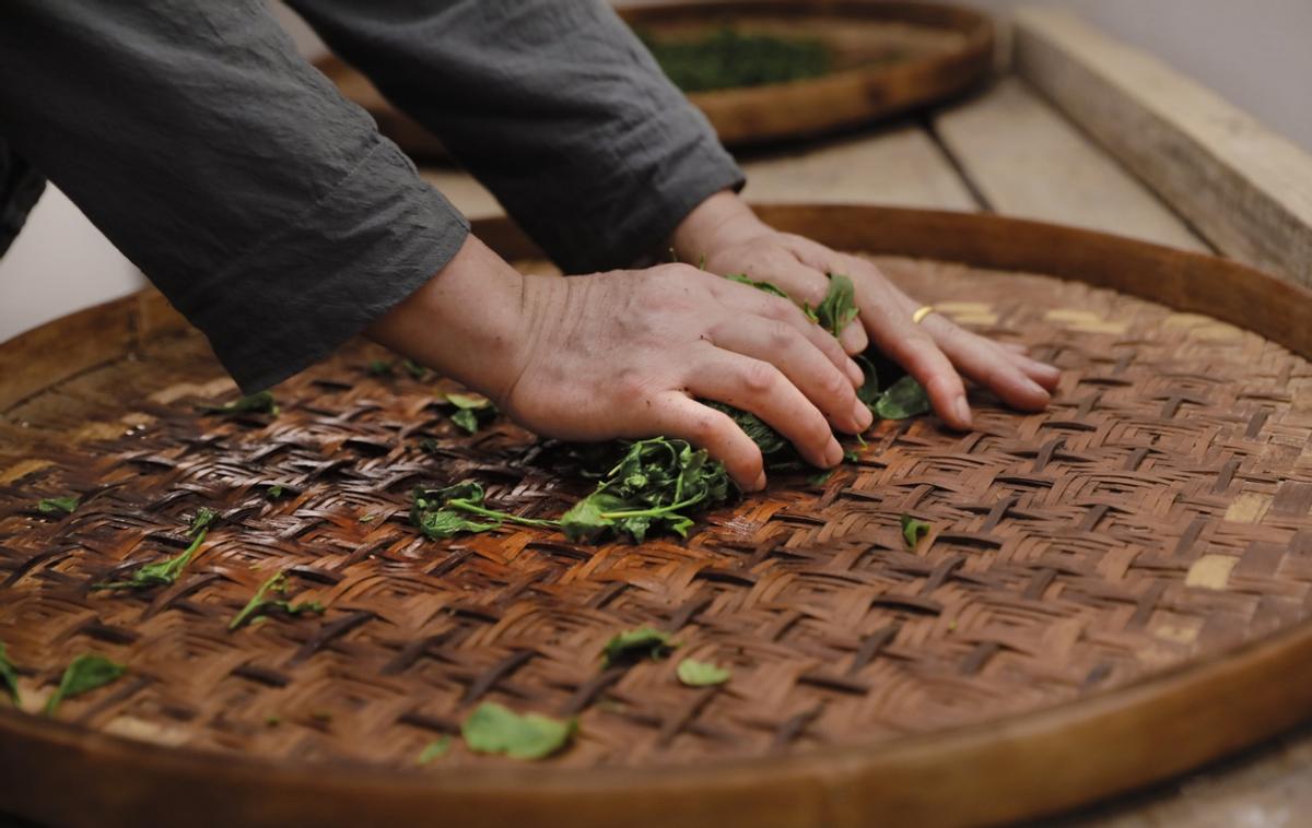 宝马文化之旅视频,宝马艺术之旅