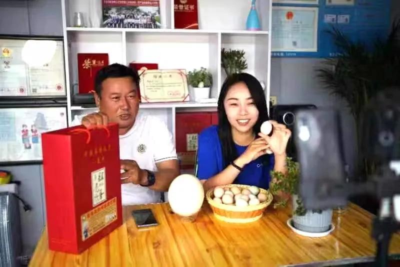 夏邑县电商发展模式,夏邑电商做得好的镇乡