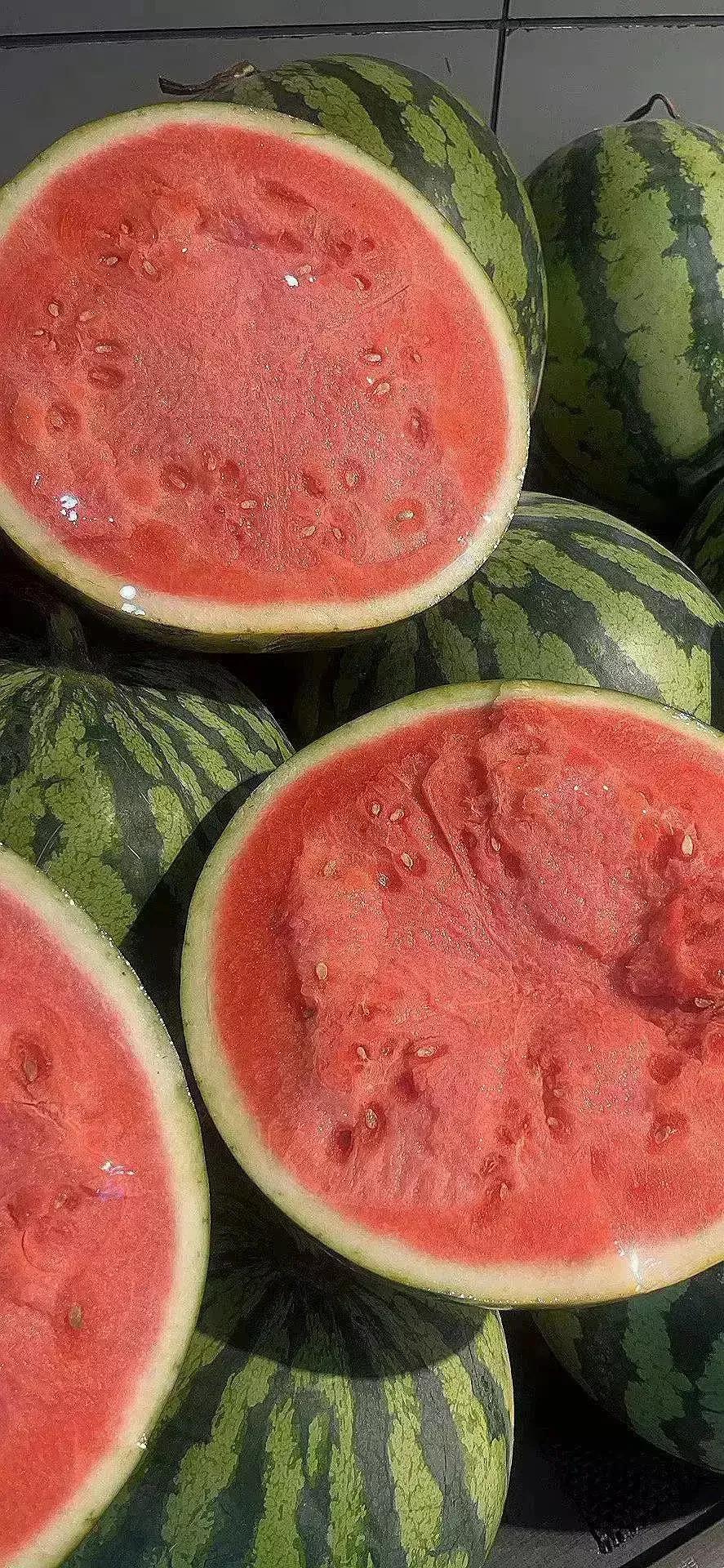 高清壁纸图片全屏干净高级,男士专用黑色美女全屏壁纸