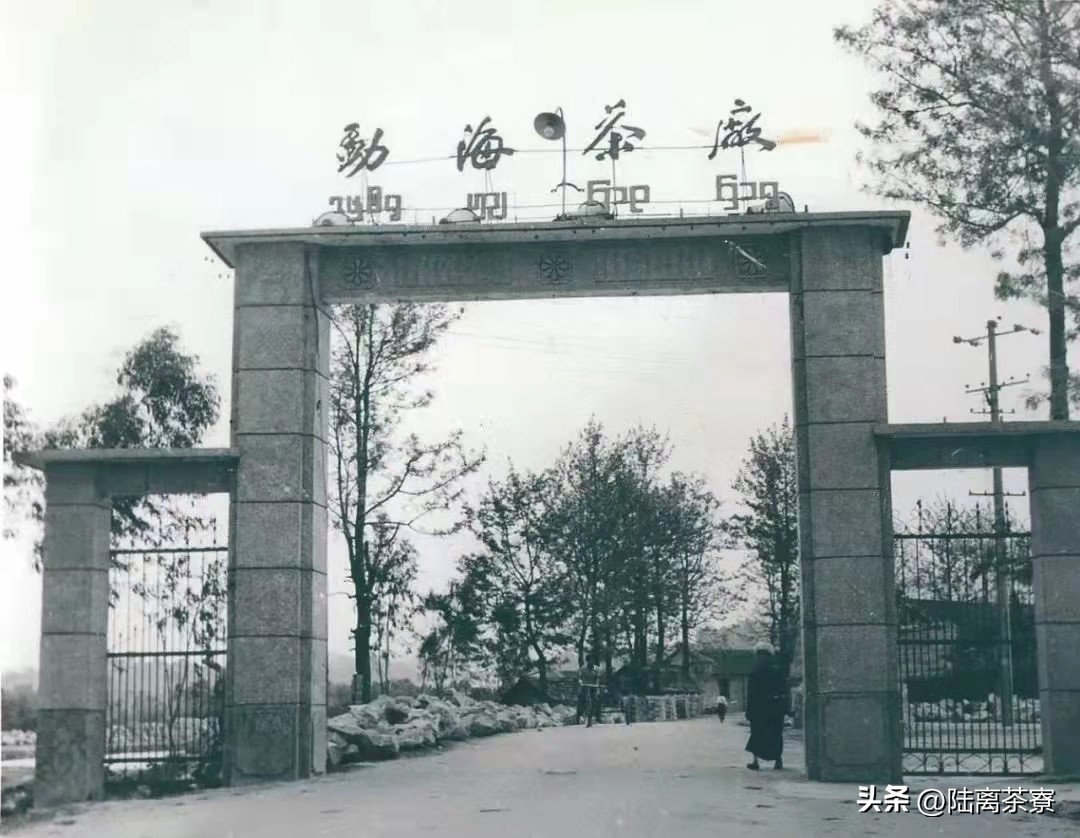 杜春驿澜沧古茶,杜春峰乌金熟茶澜沧古茶