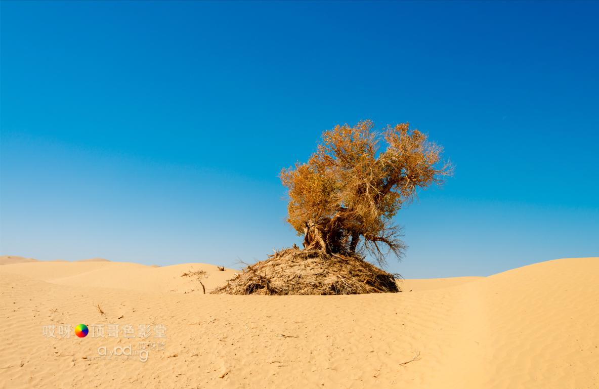 女司机带娃去新疆自驾游,带着女司机自驾游兰州