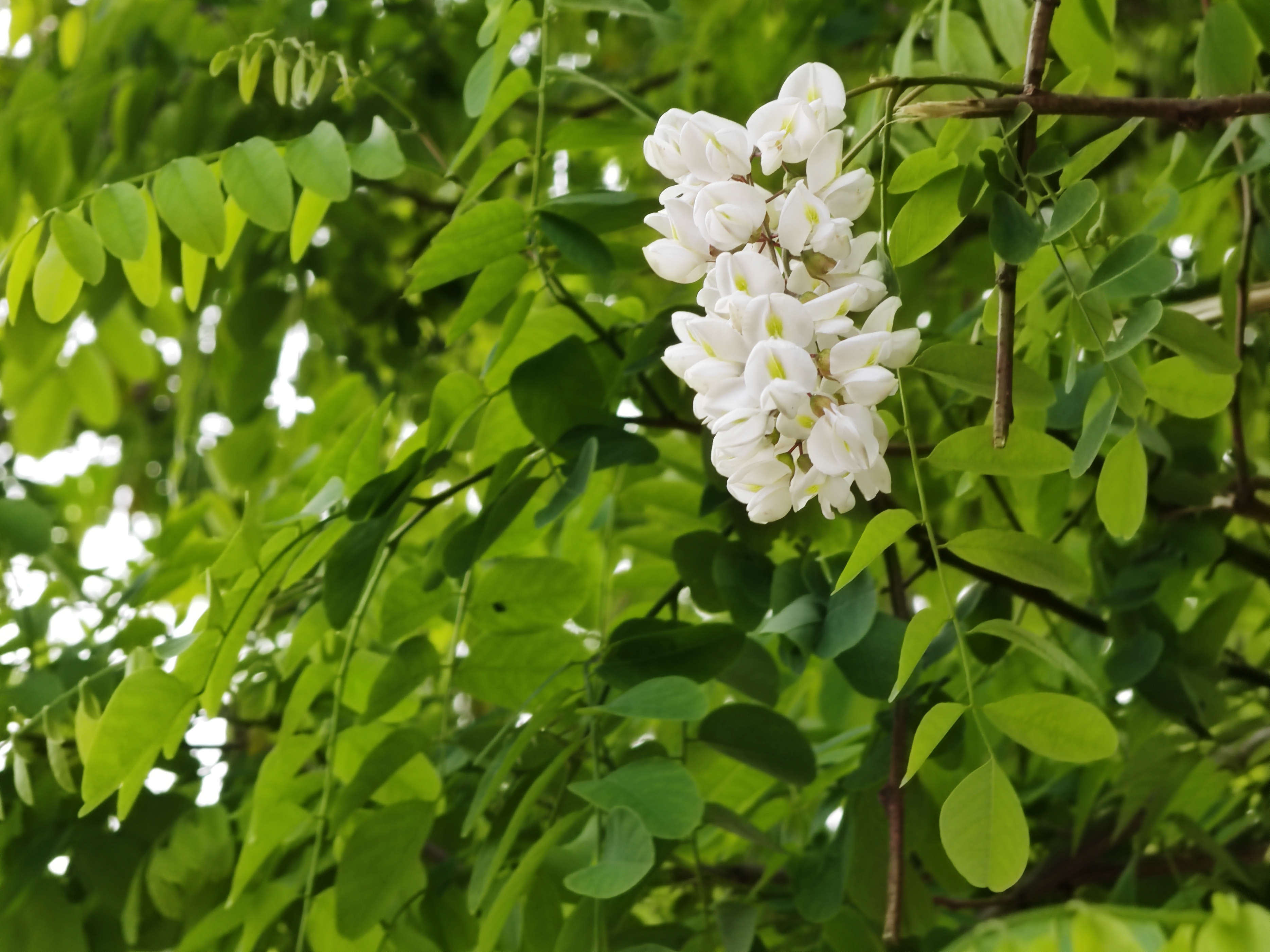 求写人生很辛苦的的现代七言绝句,打工者励志的七言律诗