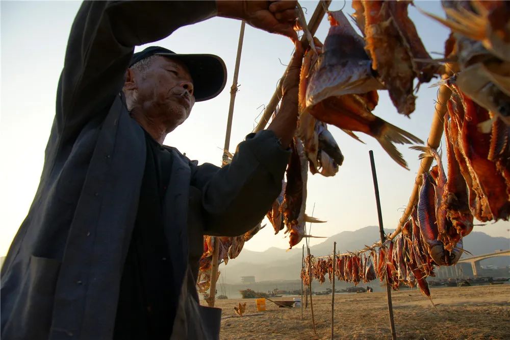 津门网郭冀华：水上古村落——大塘渔村