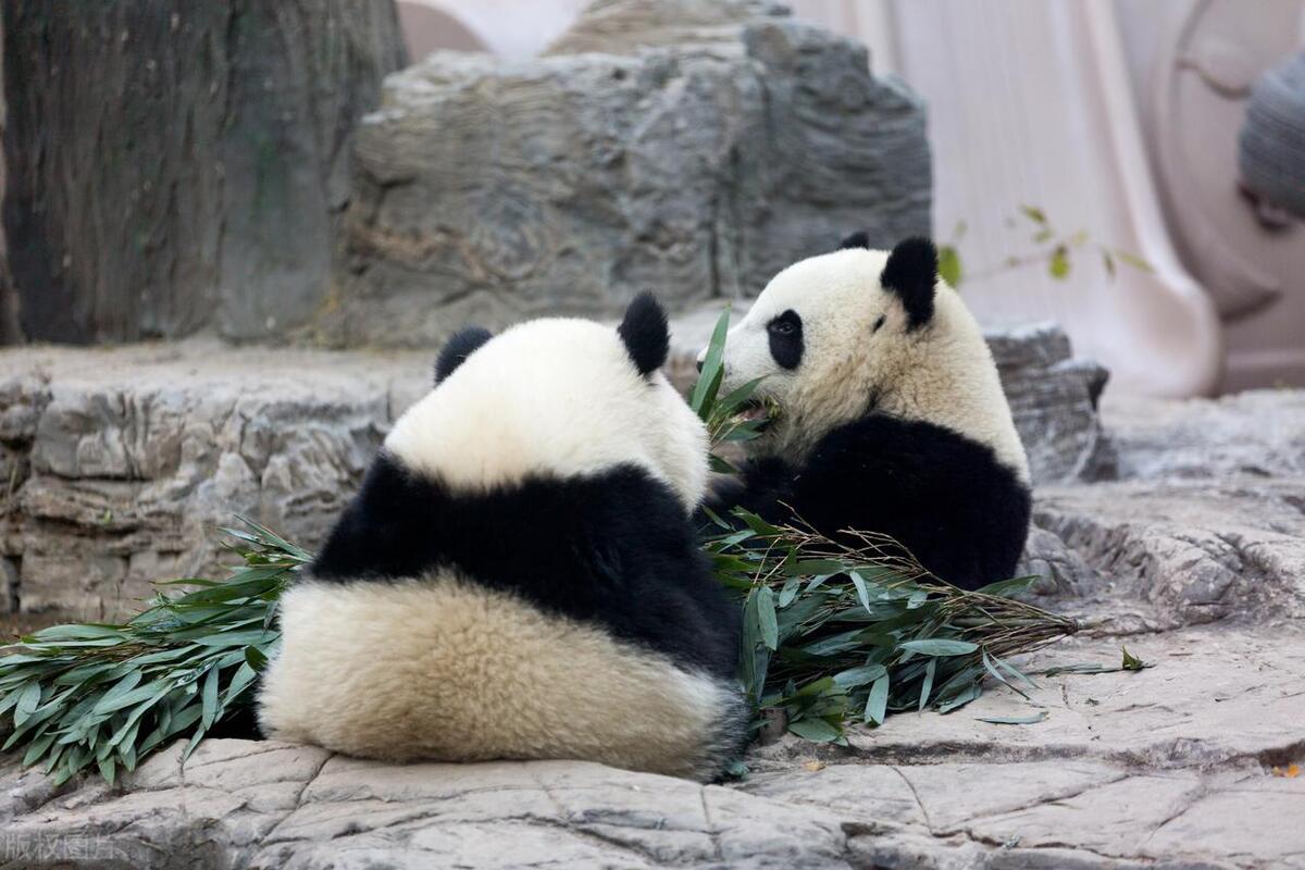 各国旅游的真实惨状,各国留学生活状态分析