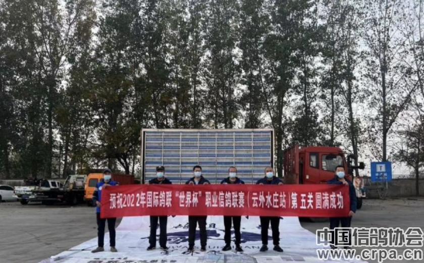 世界杯总决赛7-1,世界杯总决赛后半场回放