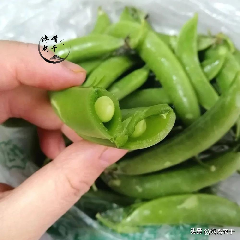 荷兰豆跟豌豆有什么区别,荷兰豆为什么叫荷兰豆呢