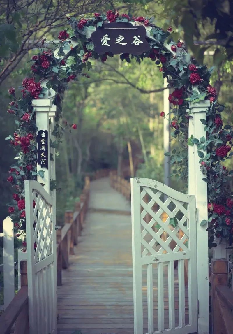 中国排名第一的旅游地,国家地理推荐旅行地