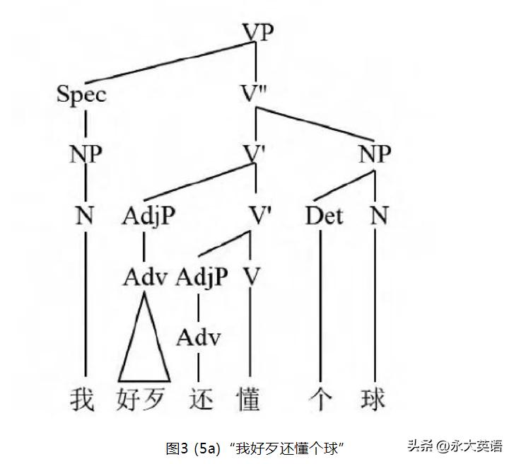 生成语法的发展阶段,生成语法与普遍语法