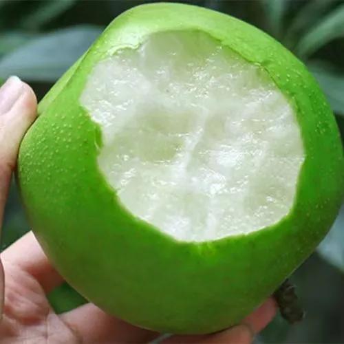 1月份水果当季,现在的当季水果