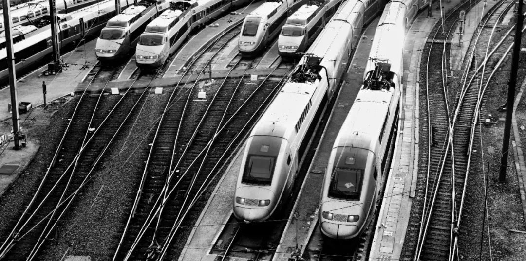 高磊：心灵的捕手