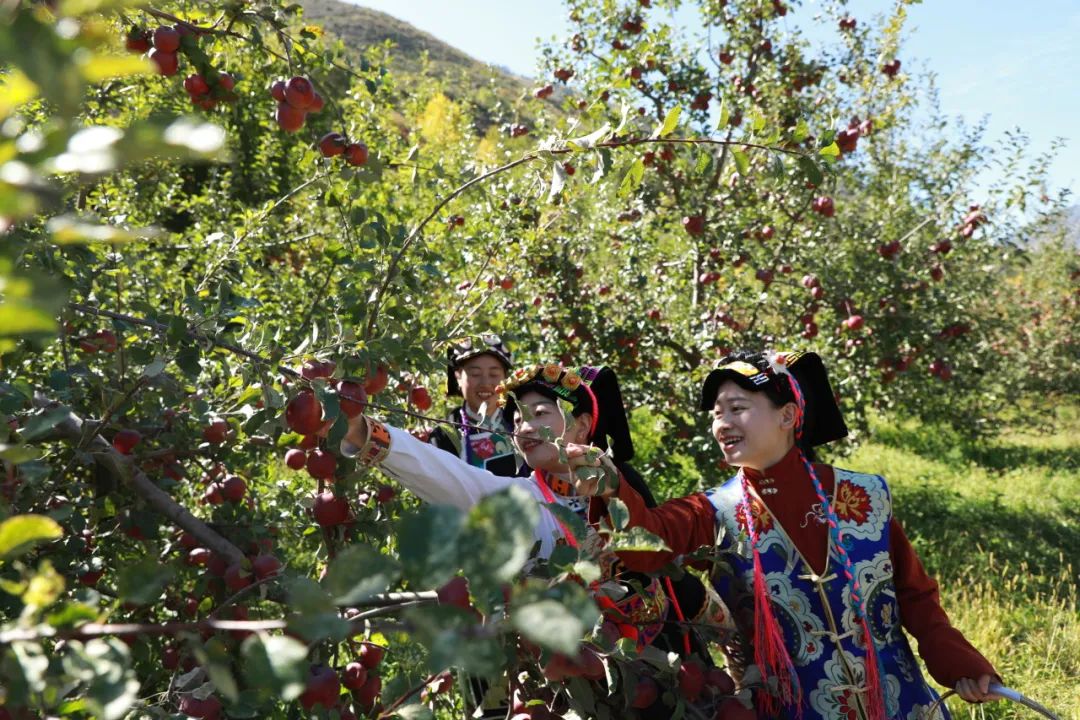 途远装配式建筑,途远装配式建筑怎么样