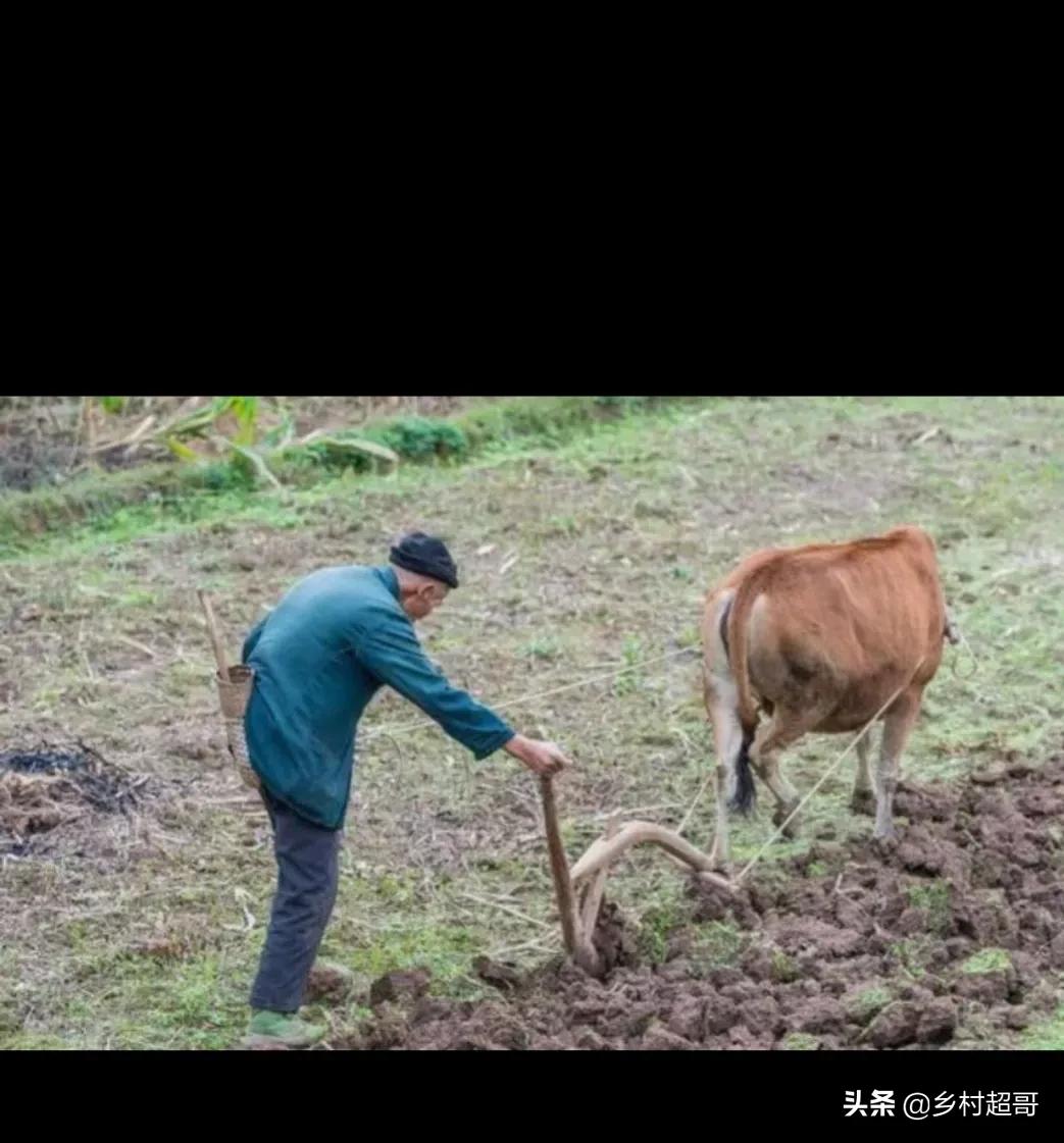 农村的赚钱门路是哪些,农村无成本挣钱的门道