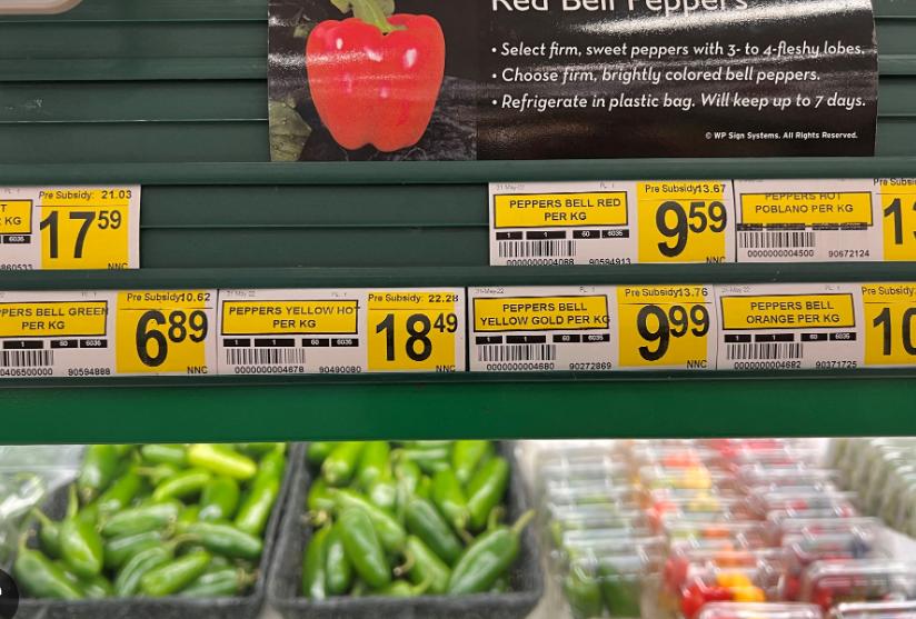 单亲妈妈带着两岁娃流浪,单亲华人妈妈带3个孩子