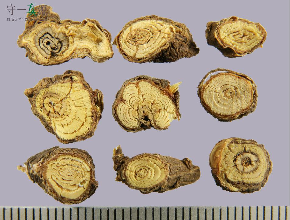 中药鉴定真假找谁,柴胡真假优劣鉴别