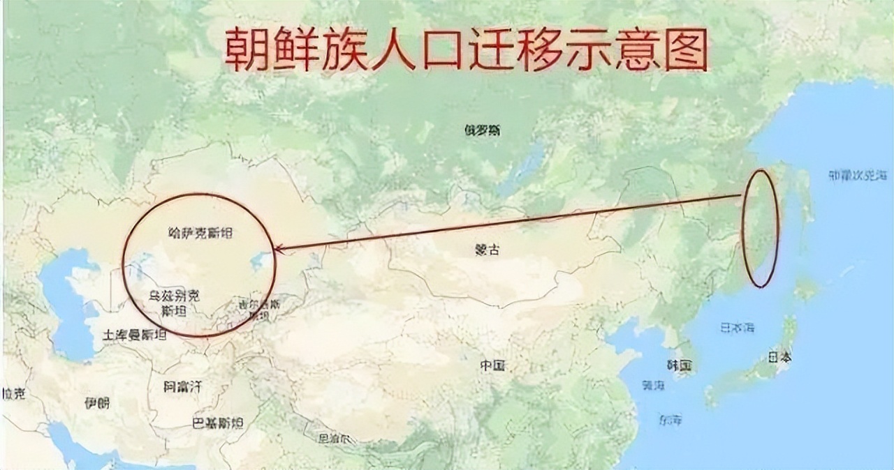 为什么中亚地区有大量朝鲜族人,有家而不能回的民族