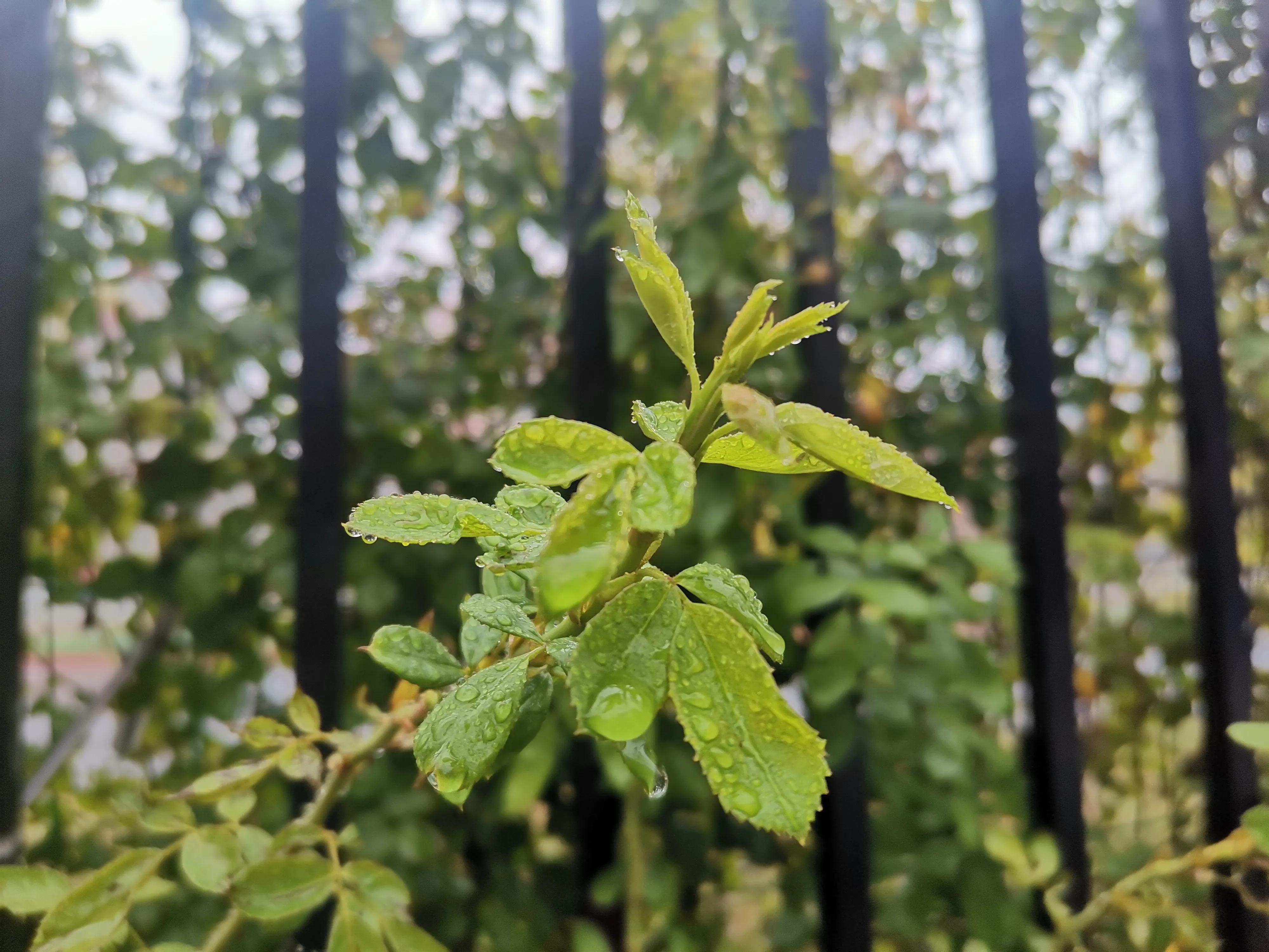 秋雨绵绵凉意浓浓,秋雨绵绵雾茫茫