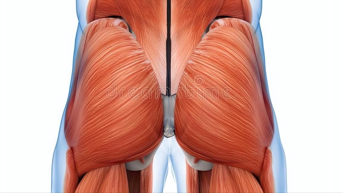 假胯宽骨头突出,假胯宽和大转子外翻一样吗