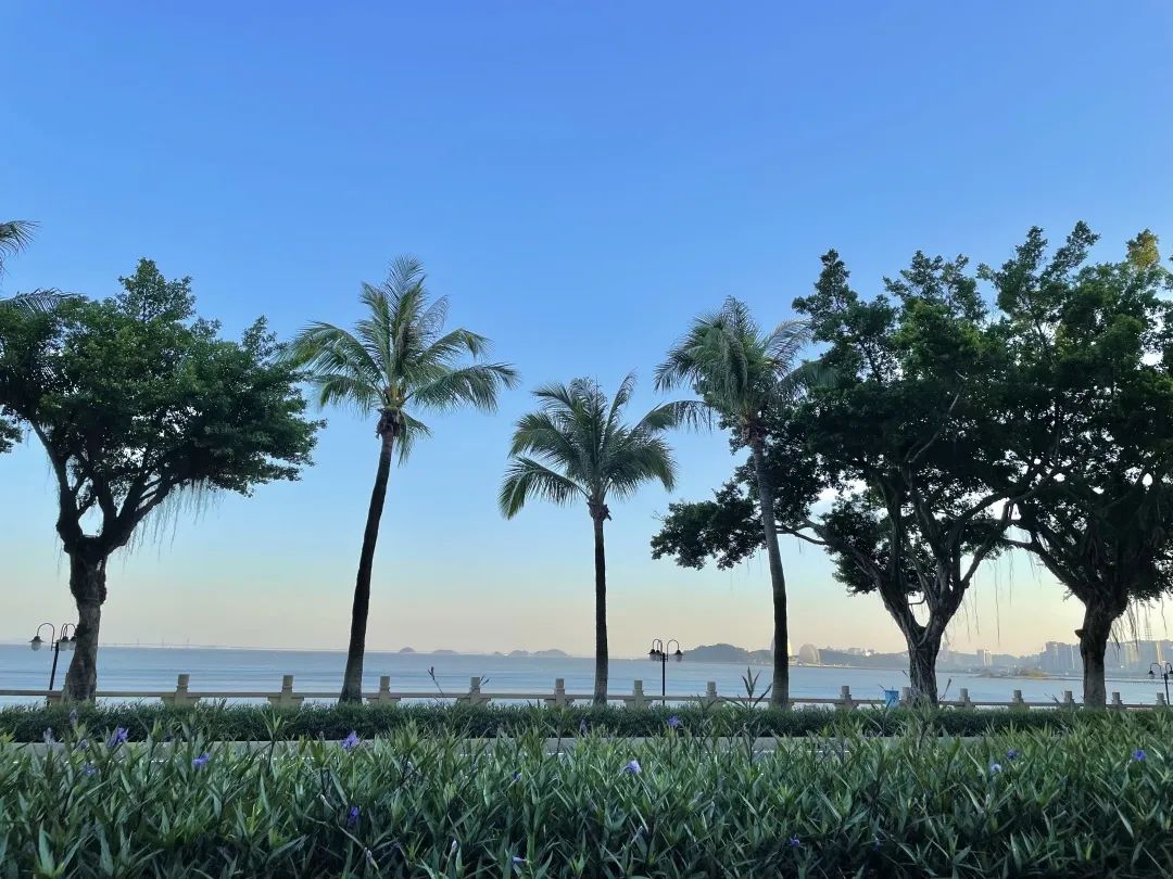 正式发布！港澳青年必收藏的一份指南，在珠海，不走弯路