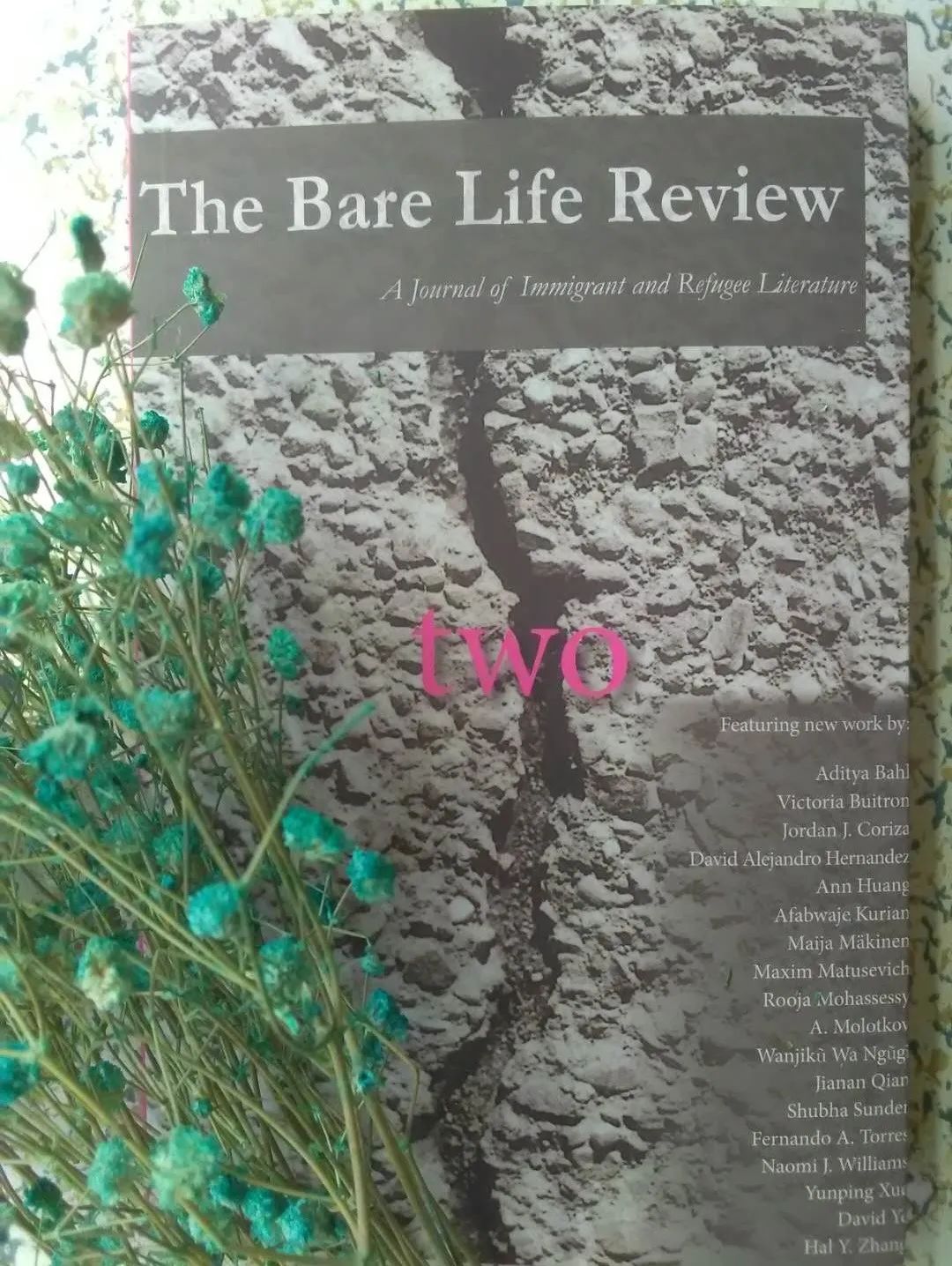 图说我的十年与未来|杜琛:为文学陕军走向世界做出踏实的贡献