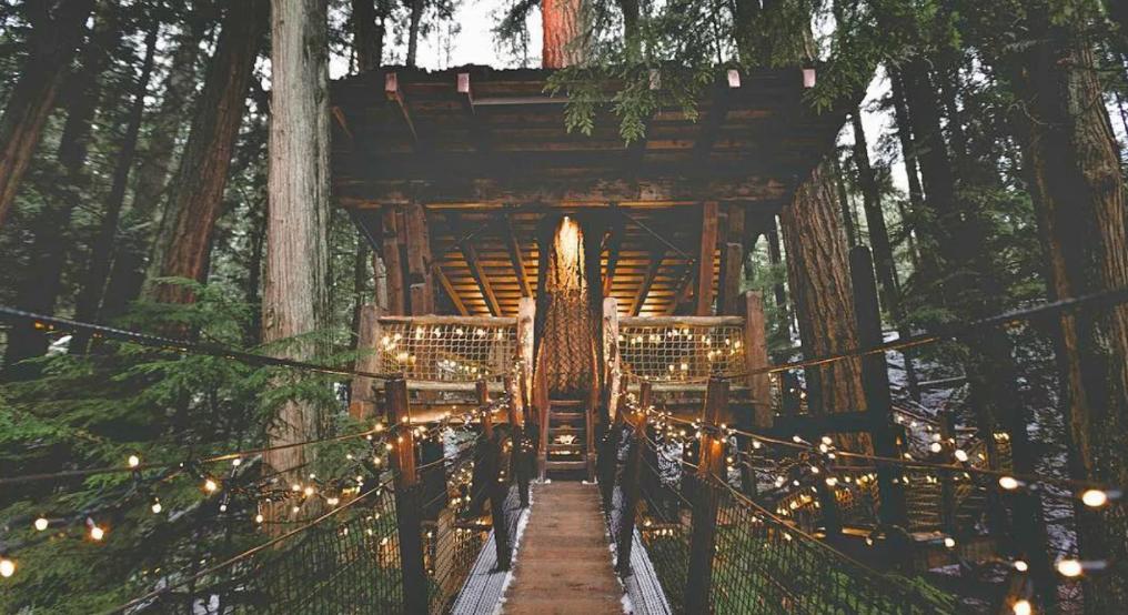 中国最美的十座斜拉式吊桥,加拿大温哥华著名的桥