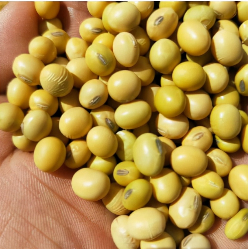 蛊到底是什么东西为什么到处害人,蛊的说法真的吗