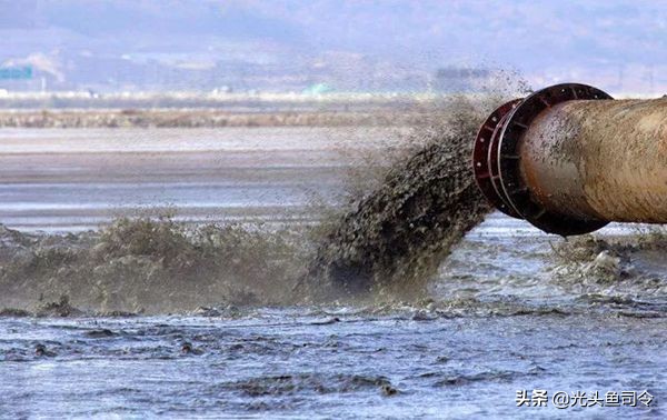 四大家鱼最深能生活在多少米,淡水鱼最大多大