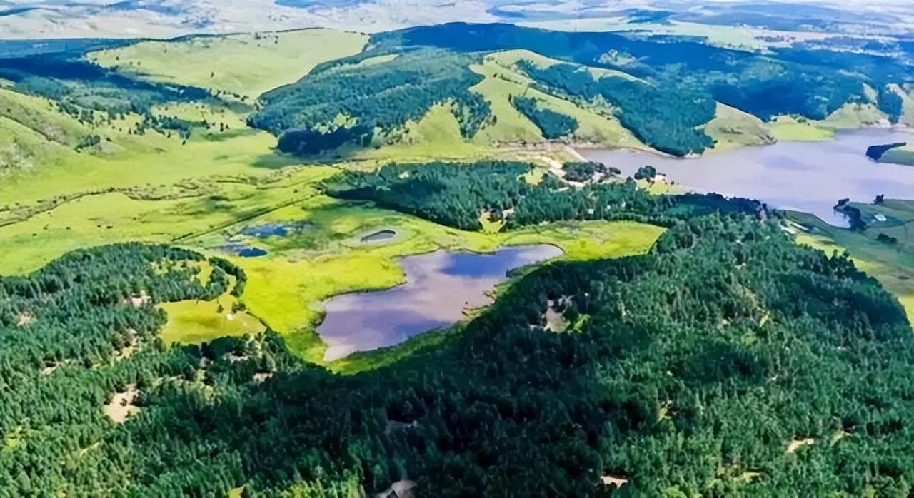 任怀灿的发家史,任怀灿云南