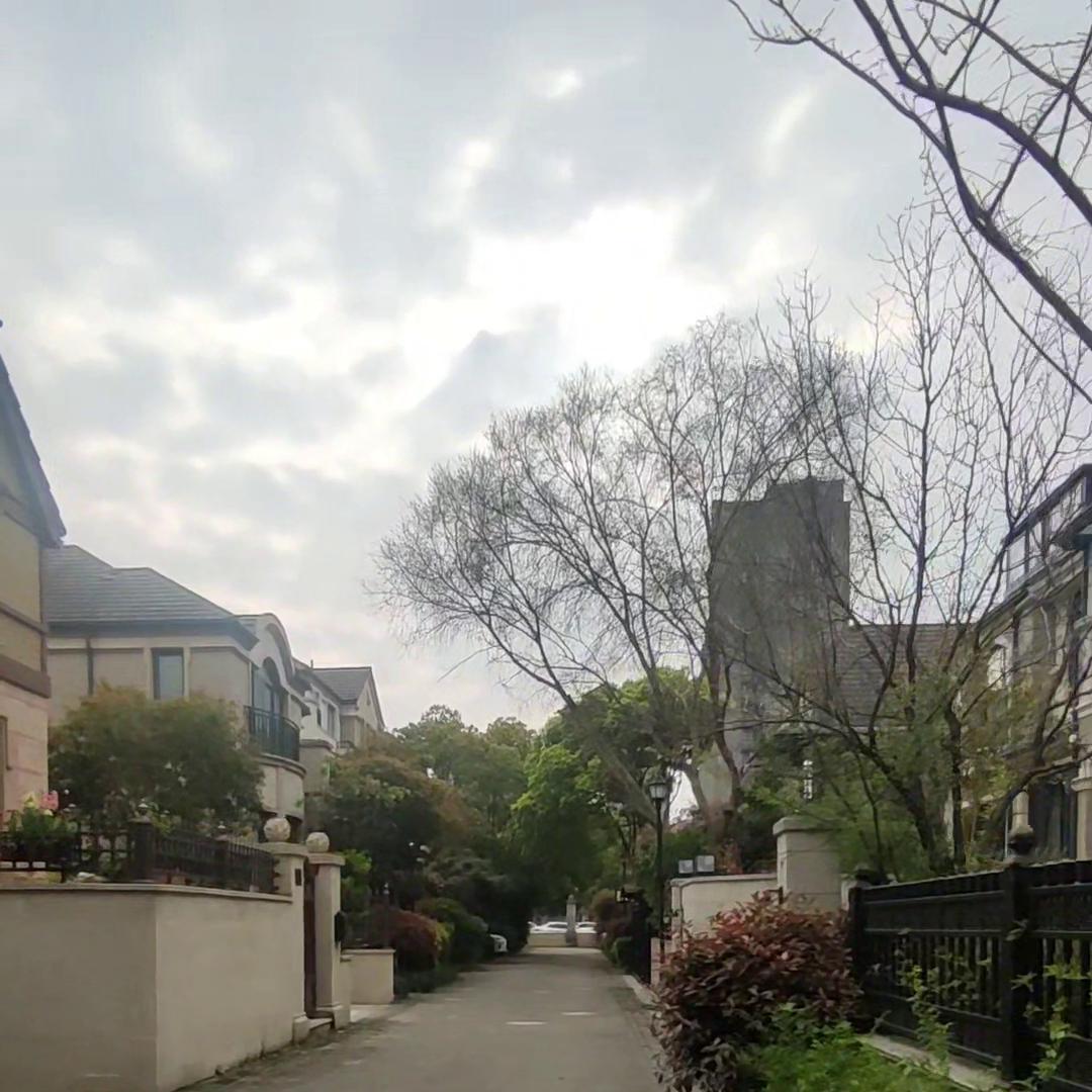 为什么现在的人都要买那么多房子,真的会有人专门买房放骨灰盒吗