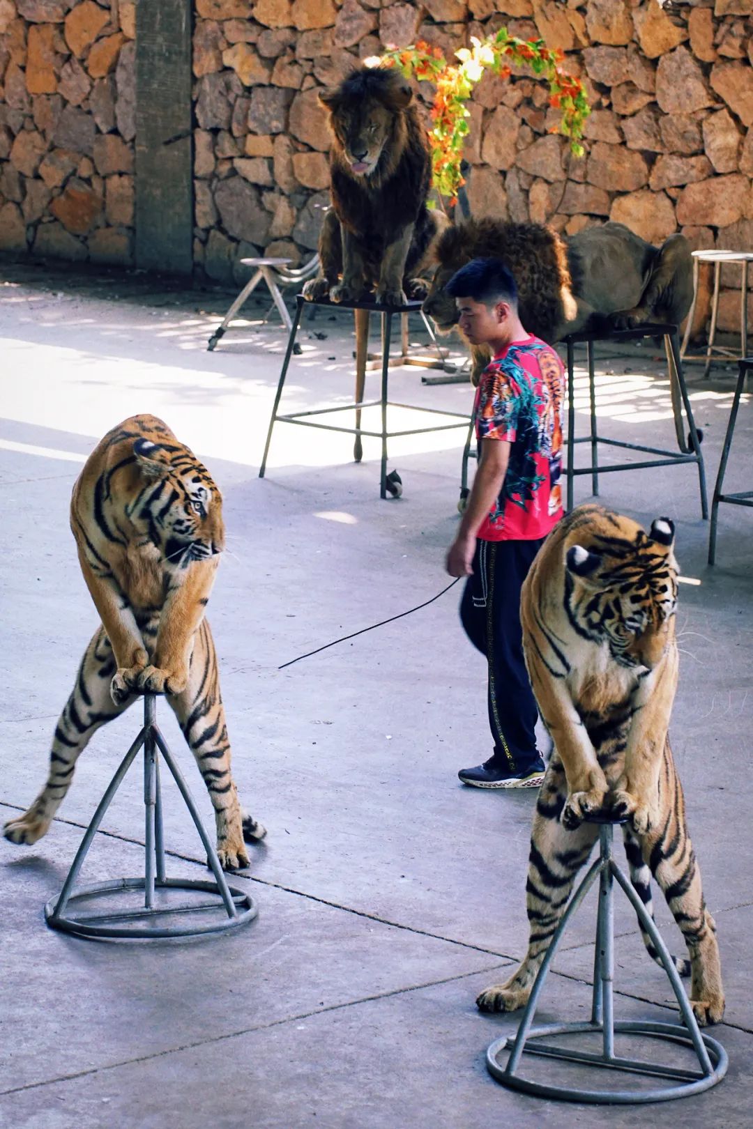 安吉亲子旅游必去的景点,安吉最新亲子旅游度假