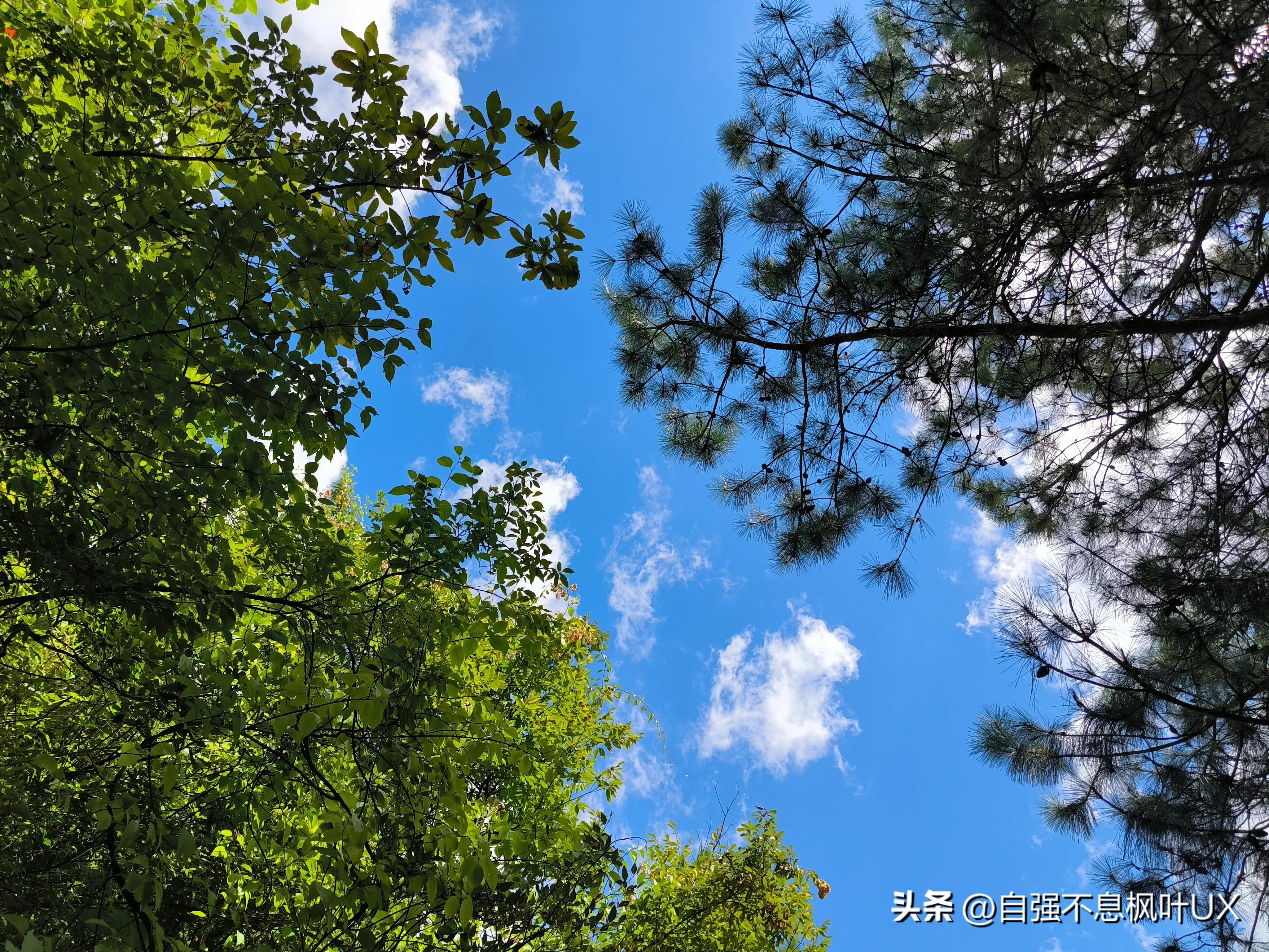 黄水避暑人气最旺的地方,黄水避暑旅游攻略