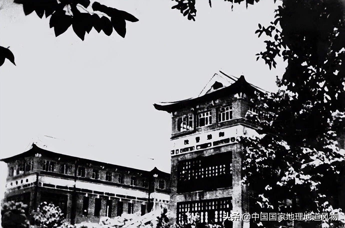 中南大学中南矿冶学院,中南是哪个大学