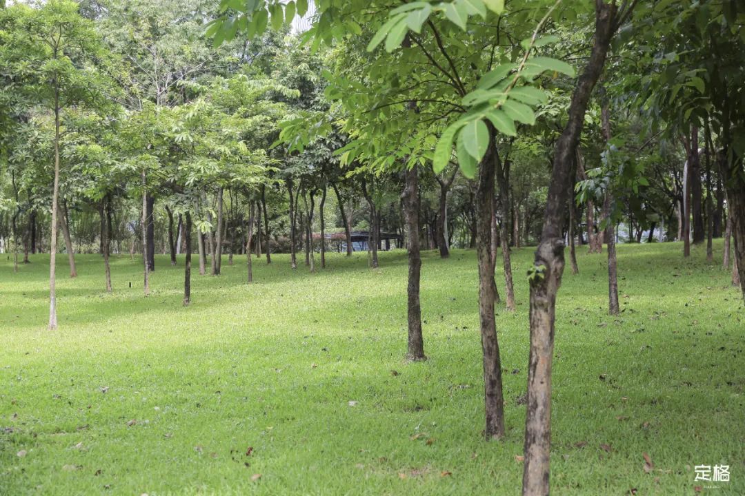 深圳地铁能直达的免费景点宝安区,深圳地铁直达免费玩的海滩